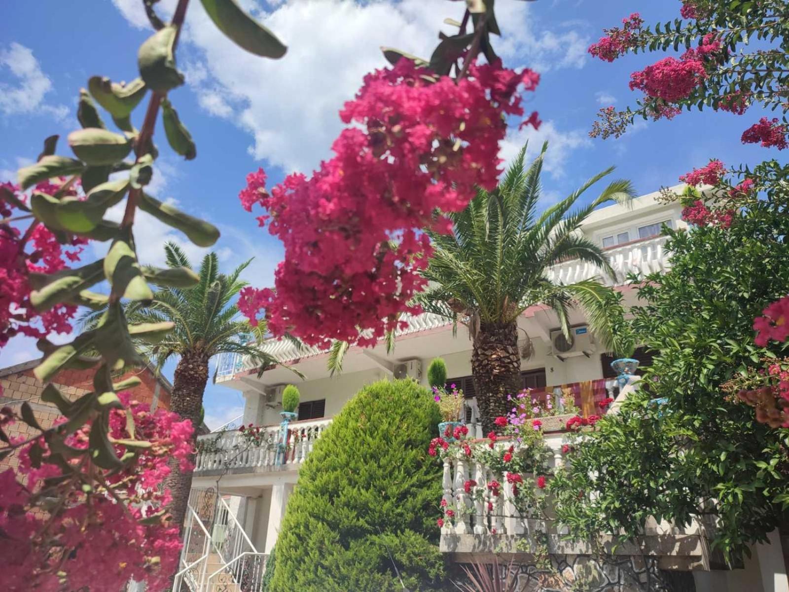 בודווה Apartments Radonjic מראה חיצוני תמונה